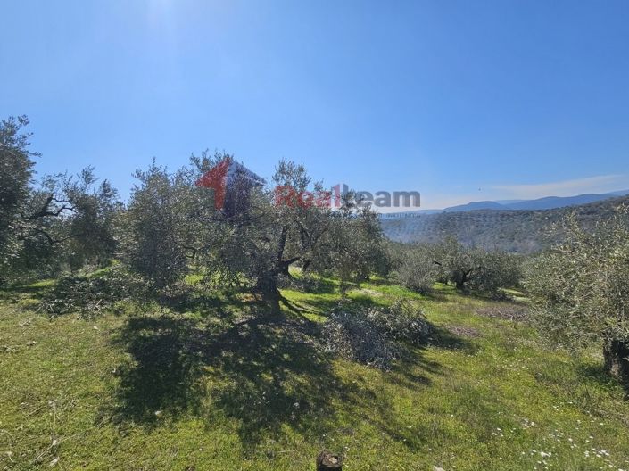 Image No.13-Property for sale