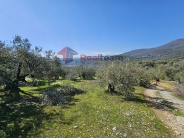 img4068ae58-f0eb-42e8-b172-74118627becc