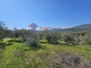 imgaf72018f-b0c6-4d86-8941-08b95d0cf228