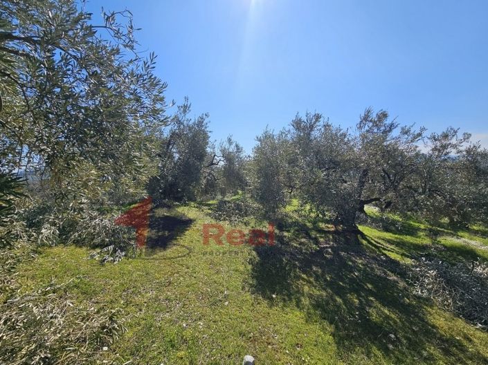 Image No.16-Property for sale