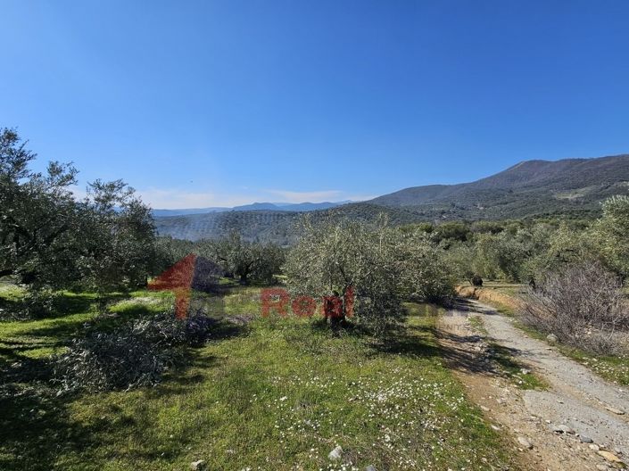 Image No.17-Property for sale