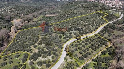 imga3ec82be-f9ab-44bf-a866-517a416bd0f0