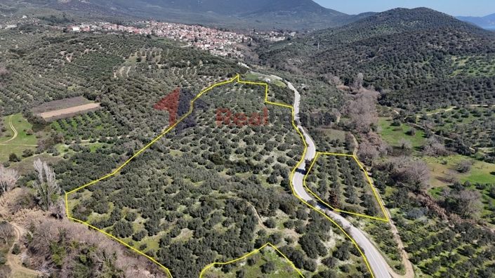 Image No.4-Property for sale