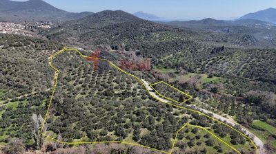 imgc67a3119-2fc6-4009-b611-43bf2fade951