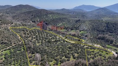 img7a2247cf-cff2-4c91-8569-6cca48e36ca9