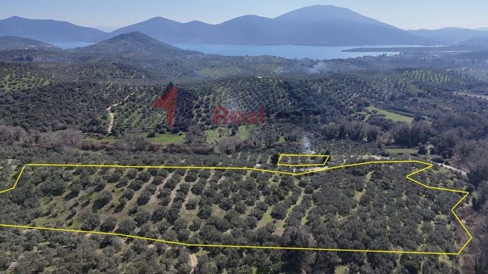 Image No.8-Property for sale