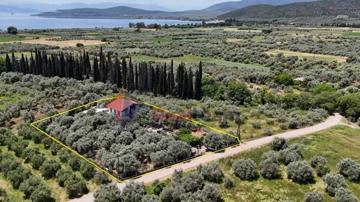 Image No.1-6 Bed Property for sale