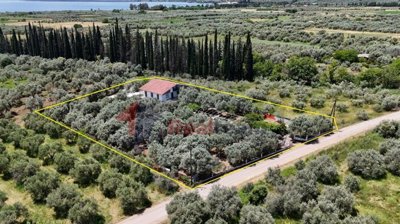 cf8d3bd10b034cc28982d551faf8dcd6