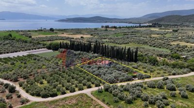 b1587da55f96423183303ccd2467d1dc