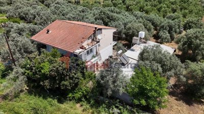 23a471373a6b46f3be9a1dba5b1b41cb