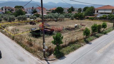 9908cbb00e6f428b8a8f549c3d2f1ccc