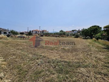 a9241d35ff1b41c8a2db3c0c78cbdb2b