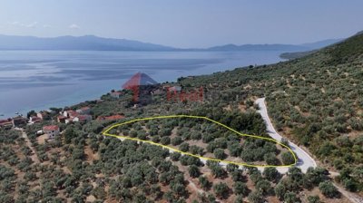 53e7e389969a42ebbd47d5be05c892f7