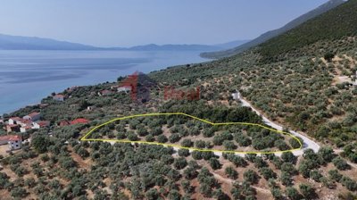 e17b983f2bfa47dfb3f9e6c29e27e9bb