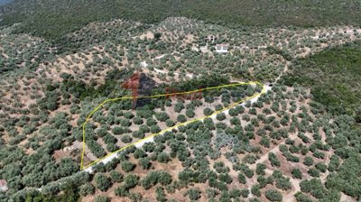 a7cc05b8e8f14b9f9262c48e547f379d