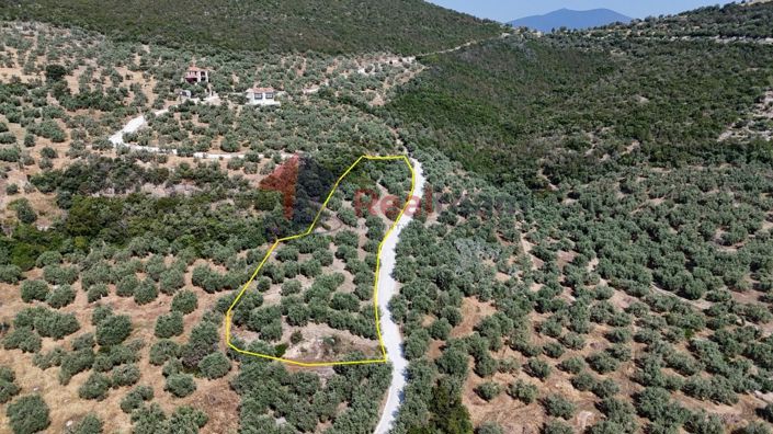 Image No.17-Property for sale