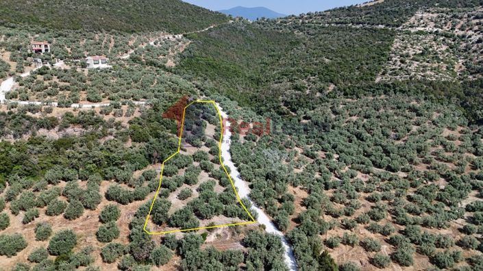 Image No.18-Property for sale