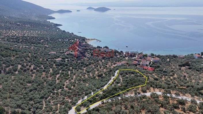 Image No.19-Property for sale