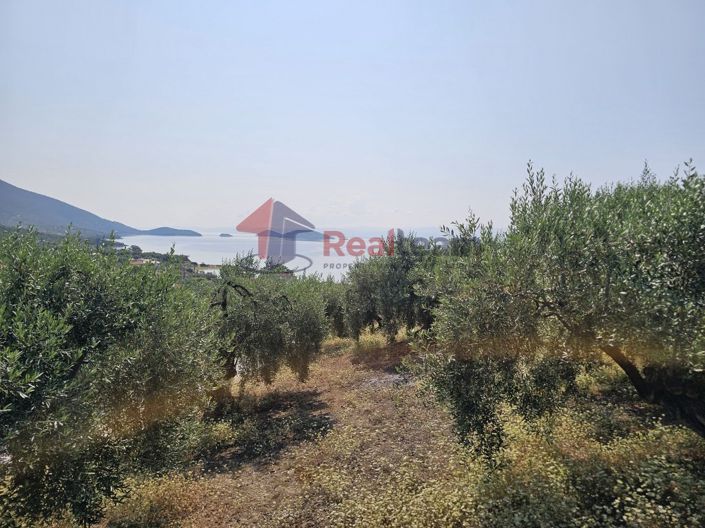 Image No.21-Property for sale