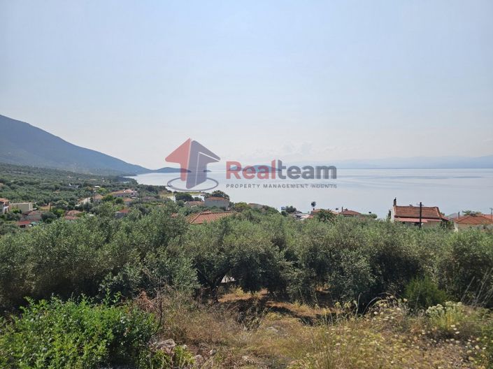 Image No.22-Property for sale