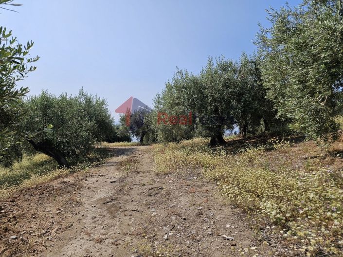 Image No.7-Property for sale