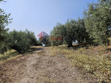 3e93ae242d5b4207b99314a596c4eb45