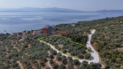 a3451f5bc6114ae397edc3b863fdaf8c