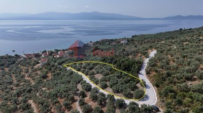 173ac36421df462faa509ec02d5f250f