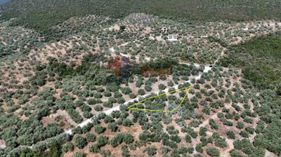 7e5c8f51f90b408391fce93ed4a347d9