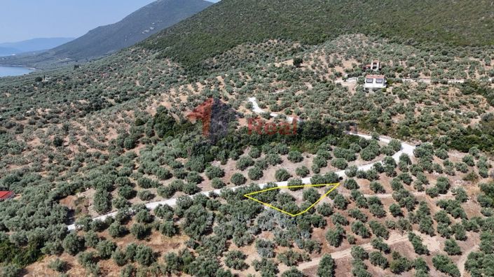 Image No.12-Property for sale