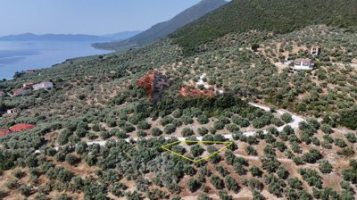 7324c5a5be1a4a51a9fb60bc254a9874