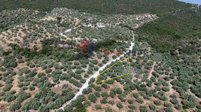 Image No.14-Property for sale