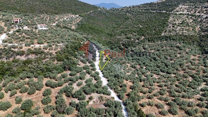 Image No.15-Property for sale