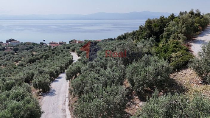 Image No.20-Property for sale