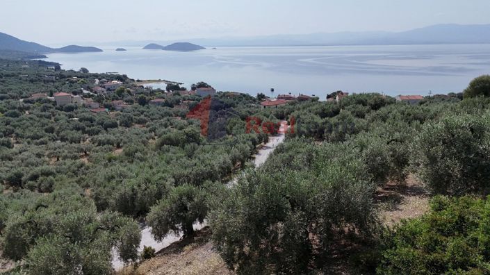 Image No.21-Property for sale