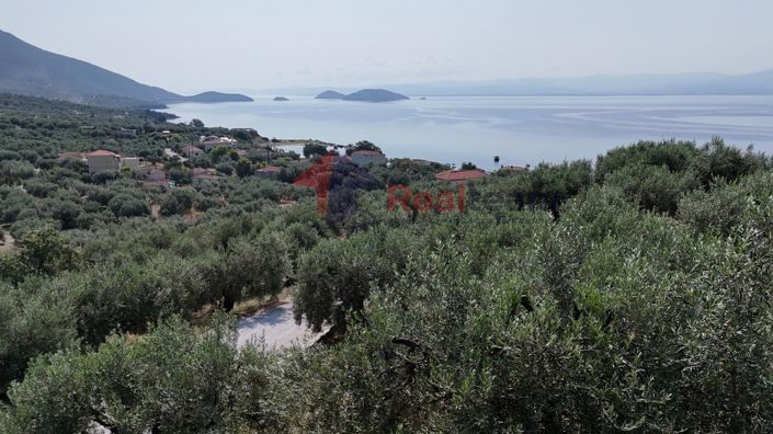 Image No.22-Property for sale