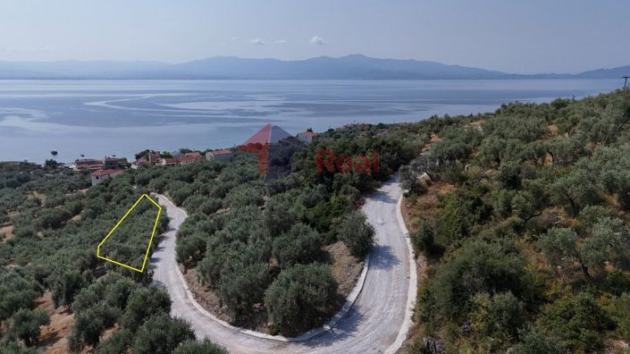 Image No.3-Property for sale