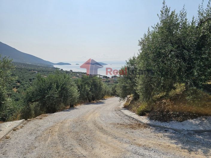 Image No.7-Property for sale