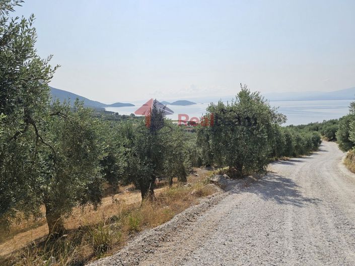 Image No.8-Property for sale