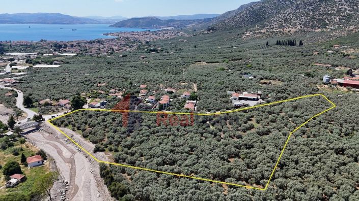 Image No.1-Property for sale