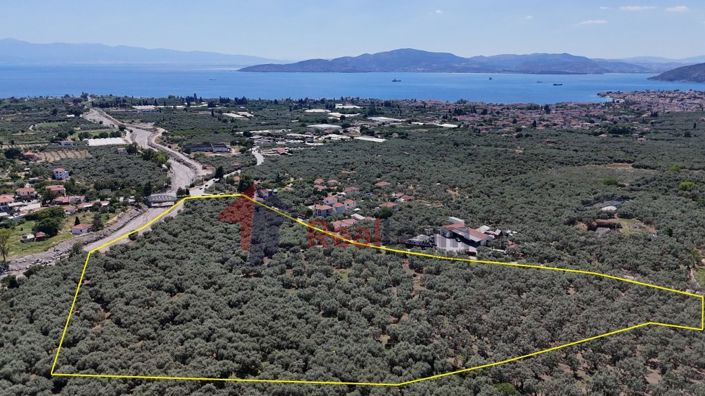 Image No.10-Property for sale