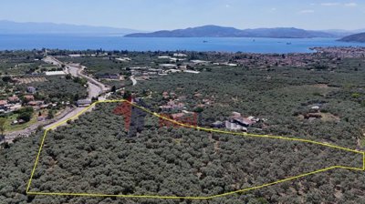 1fdc69b645e54e199aa4c052c3ec4d73