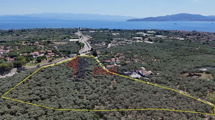 Image No.11-Property for sale