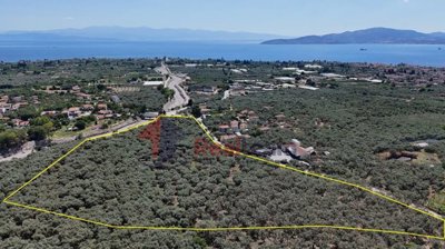 54f466203e934c43b57c00f85318e0db