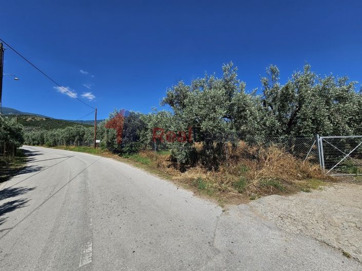 Image No.12-Property for sale