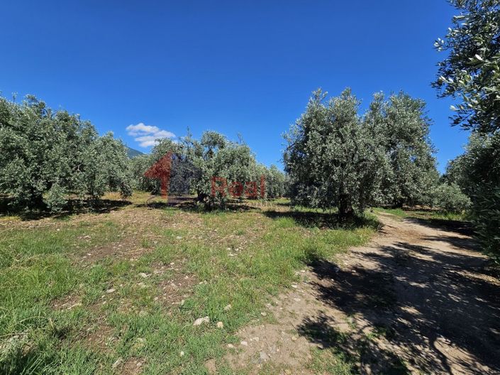 Image No.13-Property for sale