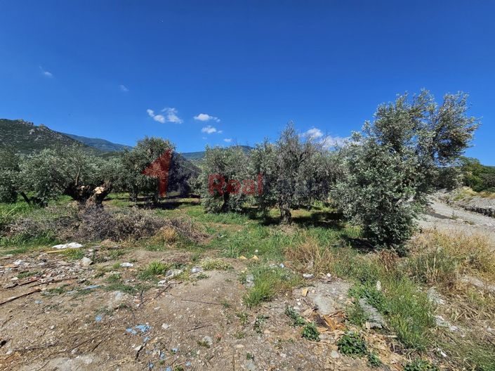 Image No.14-Property for sale