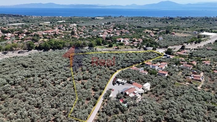 Image No.15-Property for sale