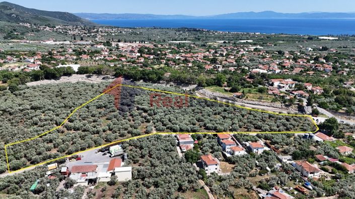 Image No.16-Property for sale