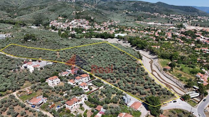 Image No.18-Property for sale